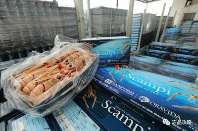 桑福德劍指利潤倍增，中國市場能否成為關鍵增長引擎？