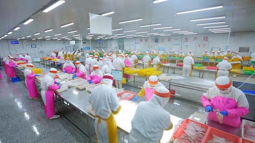 好品山東穿越疫情 中國(guó)最大海產(chǎn)品加工外貿(mào)企業(yè)的“九條命”銷售之道